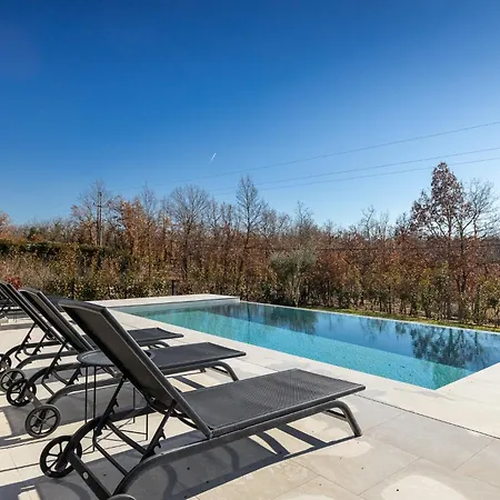 Beautiful Legro With Pool In Visnjan Villa