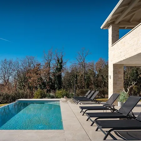Beautiful Legro With Pool In Visnjan Villa *
